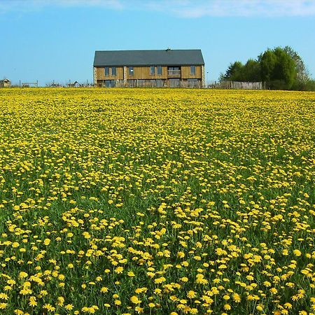 Chambres D'Hotes Les Trappeurs Silence & Nature Tenneville Bagian luar foto