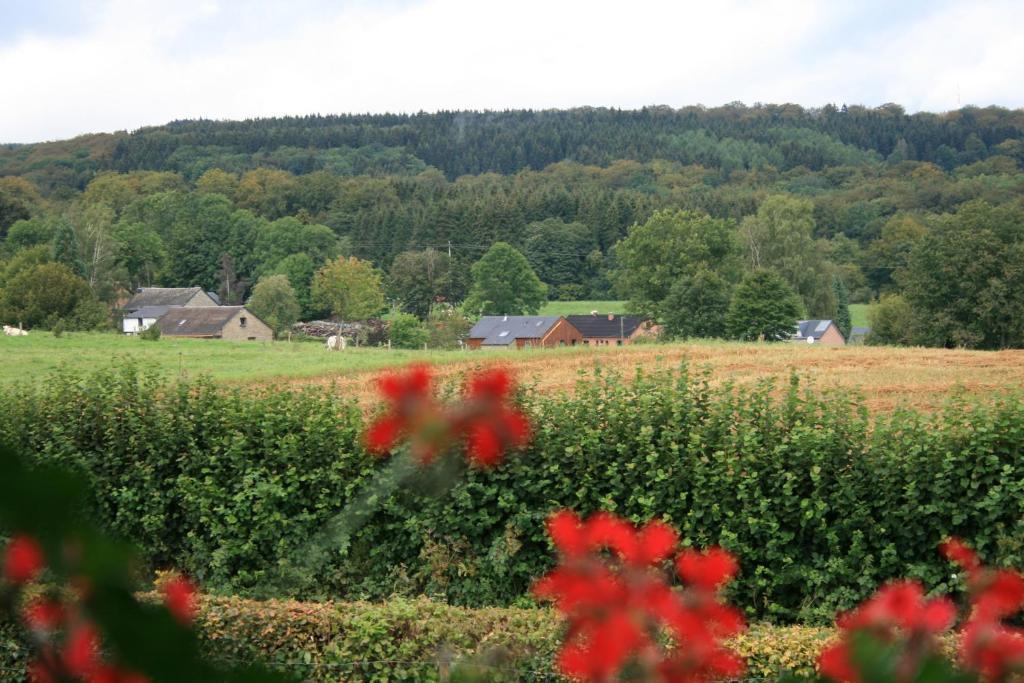Chambres D'Hotes Les Trappeurs Silence & Nature Tenneville Ruang foto