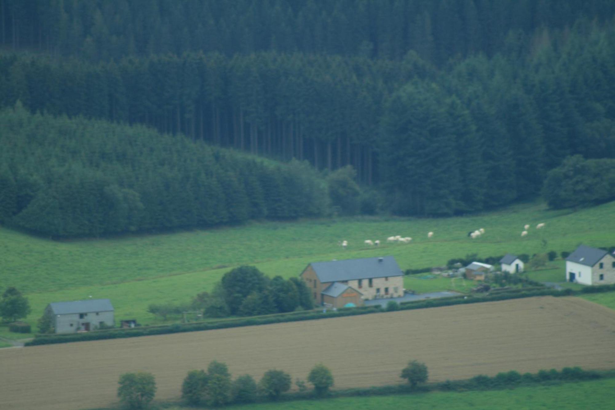 Chambres D'Hotes Les Trappeurs Silence & Nature Tenneville Bagian luar foto
